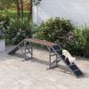 Dog Agility Equipment Ramp with Safety Bar, Non-slip Surface, for Walk and Pause Training, Gray